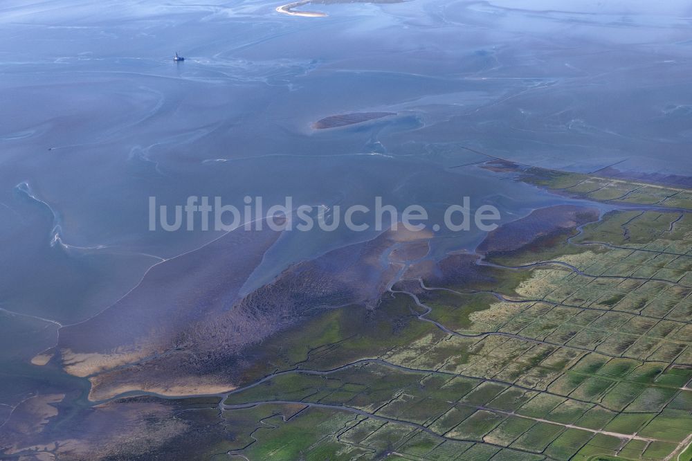 Luftaufnahme Friedrichskoog - Salzwiesen im Nationalpark Wattenmeer in Friedrichskoog im Bundesland Schleswig-Holstein