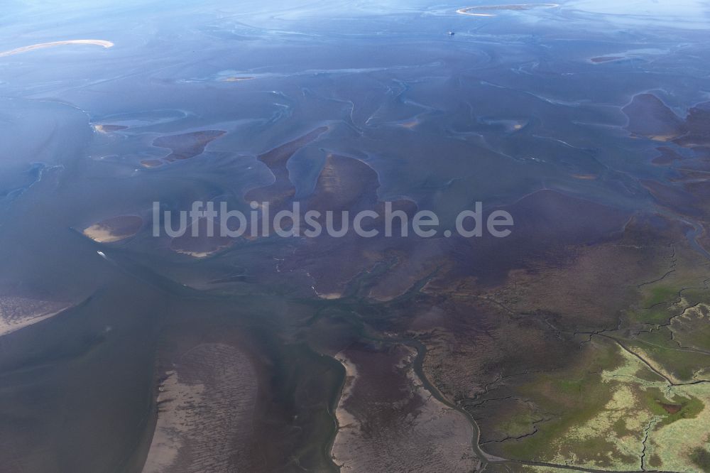 Luftbild Friedrichskoog - Salzwiesen im Nationalpark Wattenmeer in Friedrichskoog im Bundesland Schleswig-Holstein