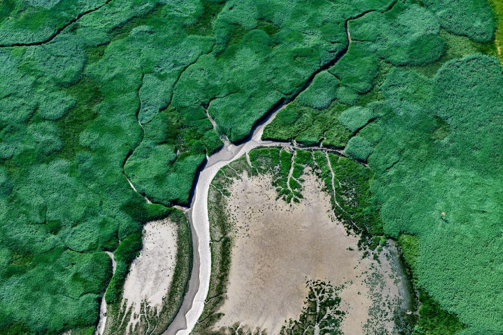 Belum aus der Vogelperspektive: Salzwiesen Uferbereiche entlang der Fluß- Mündung der Oste in die Elbe in Balje im Bundesland Niedersachsen, Deutschland