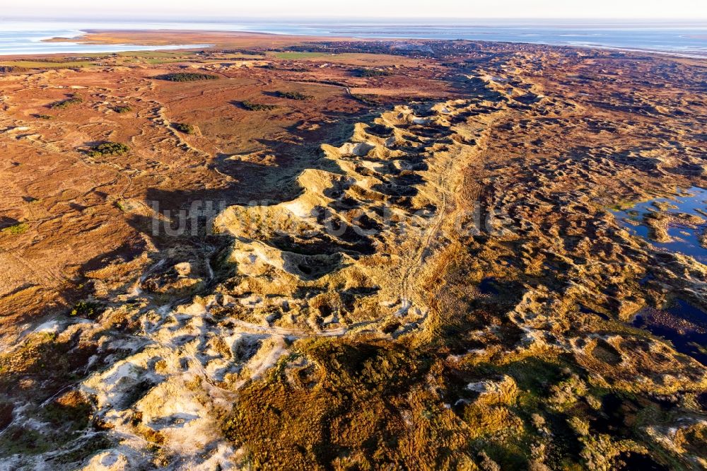 Luftbild Fanö - Sand- Dünen- und Küsten- Landschaft im Nationalpark Wattenmeer auf Fanö in Region Syddanmark, Dänemark