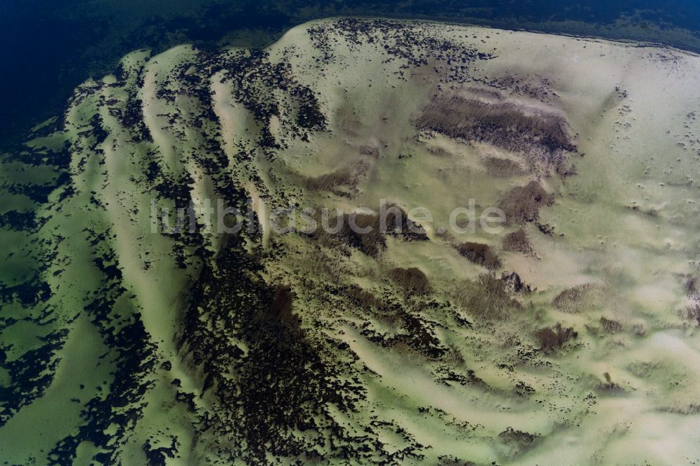 Luftbild Rerik - Sandbank- Landfläche durch Strömungen unter der Meeres- Wasseroberfläche in Rerik im Bundesland Mecklenburg-Vorpommern, Deutschland