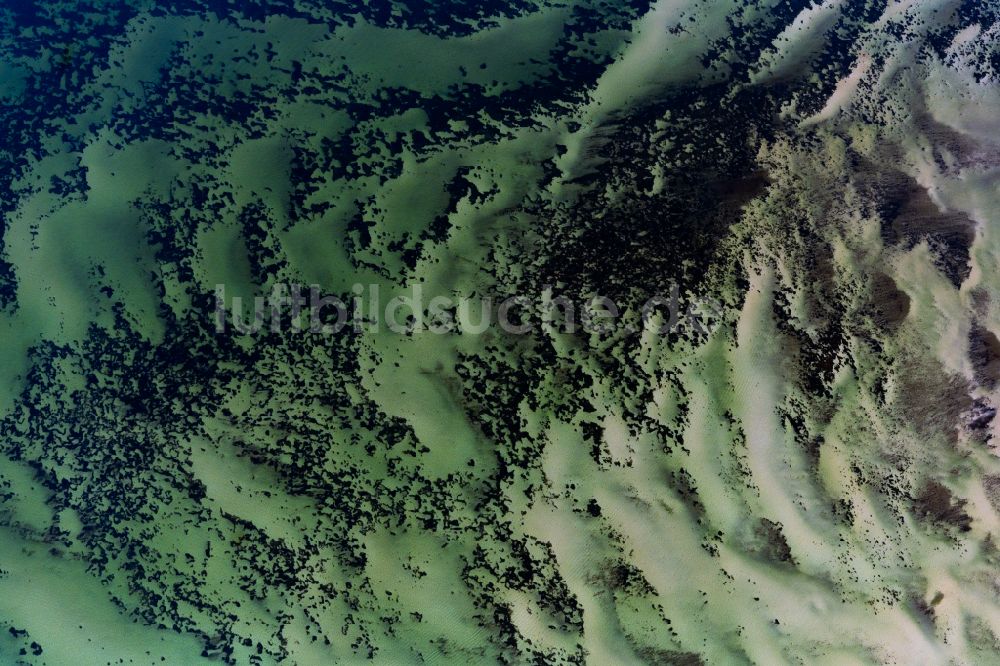 Luftaufnahme Rerik - Sandbank- Landfläche durch Strömungen unter der Meeres- Wasseroberfläche in Rerik im Bundesland Mecklenburg-Vorpommern, Deutschland