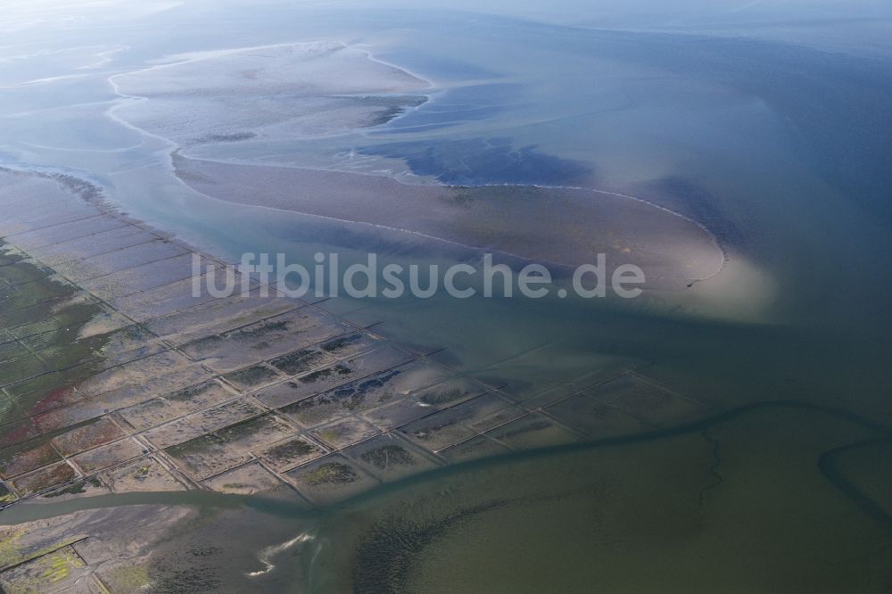 Pellworm von oben - Sandbank- Landfläche durch Strömungen unter der Meeres- Wasseroberfläche vor Südfall und Pellworm im Bundesland Schleswig-Holstein, Deutschland