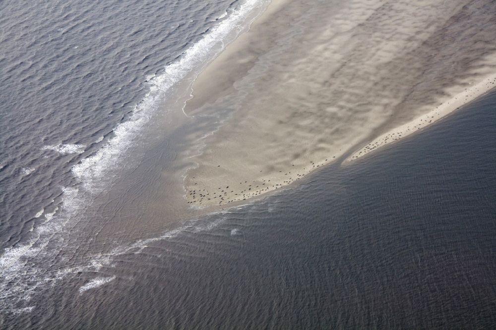 Luftaufnahme Friedrichskoog - Sandbank nordwestlich der Insel Trischen der Gemeinde Friedrichskoog im Bundesland Schleswig-Holstein