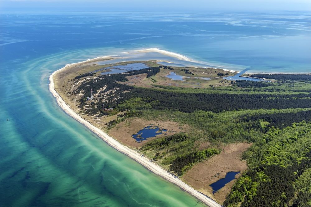 Luftaufnahme Born am Darß - Sandstrand- Landschaft der Ostsee in Darsser Ort im Bundesland Mecklenburg-Vorpommern, Deutschland