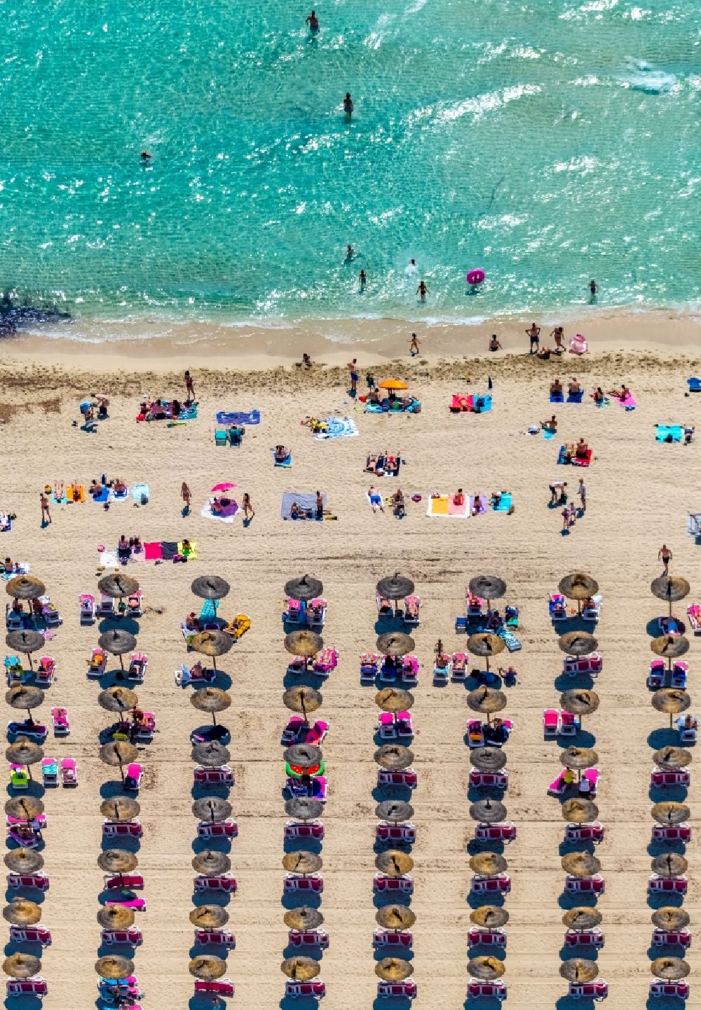 Cala Anguila-Cala Mendia aus der Vogelperspektive: Sandstrand- Landschaft mit Sonnenschirm - Reihen an der CALA Estany d'en Mas in Cala Anguila-Cala Mendia in Balearische Insel Mallorca, Spanien