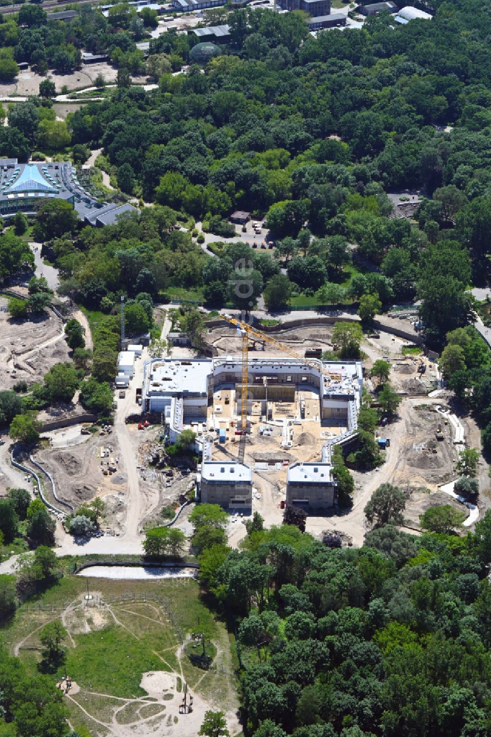 Luftbild Berlin - Sanierung Gebäudekomplex Dickhäuterhaus im Tierpark in Berlin, Deutschland