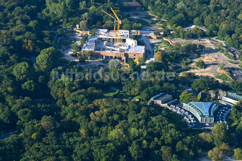 Luftbild Berlin - Sanierung Gebäudekomplex Dickhäuterhaus im Tierpark in Berlin, Deutschland