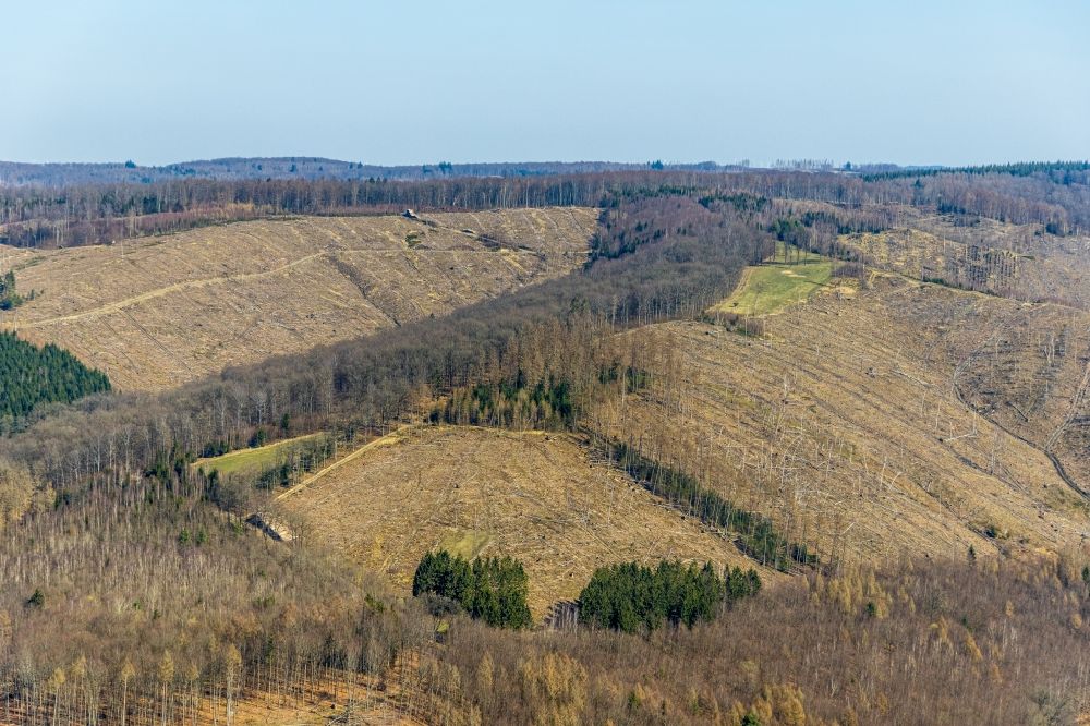 Wildshausen aus der Vogelperspektive: Schäden in einem Waldgebiet in Wildshausen im Bundesland Nordrhein-Westfalen, Deutschland