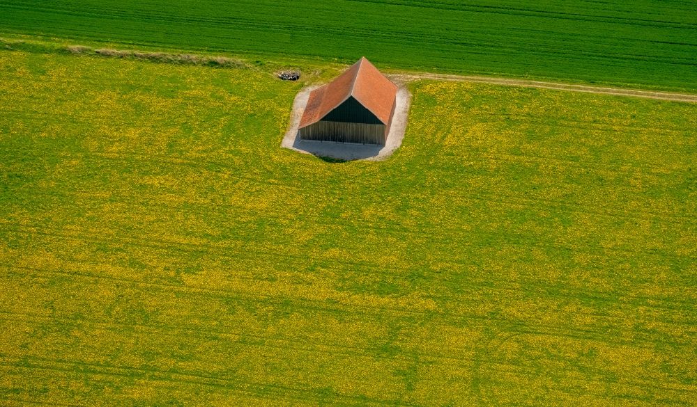 Luftaufnahme Brilon - Scheunen- Gebäude am Rande von Feldern mit gelber Raps- Blüte in Brilon im Bundesland Nordrhein-Westfalen, Deutschland