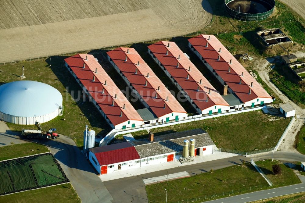 Luftaufnahme Schönhagen - Scheunen- Gebäude am Rande von Feldern in Schönhagen im Bundesland Brandenburg, Deutschland