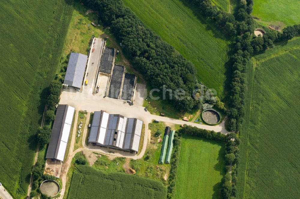 Luftaufnahme Fredenbeck - Scheunen- Gebäude mit Solar- Panelen am Rande von Feldern in Fredenbeck im Bundesland Niedersachsen, Deutschland