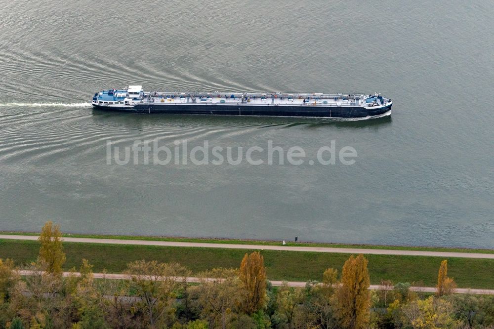 Luftaufnahme Eschau - Schiffe der Binnenschiffahrt in Fahrt auf der Wasserstraße des Flußverlaufes am Rhein in Eschau in Grand Est, Frankreich
