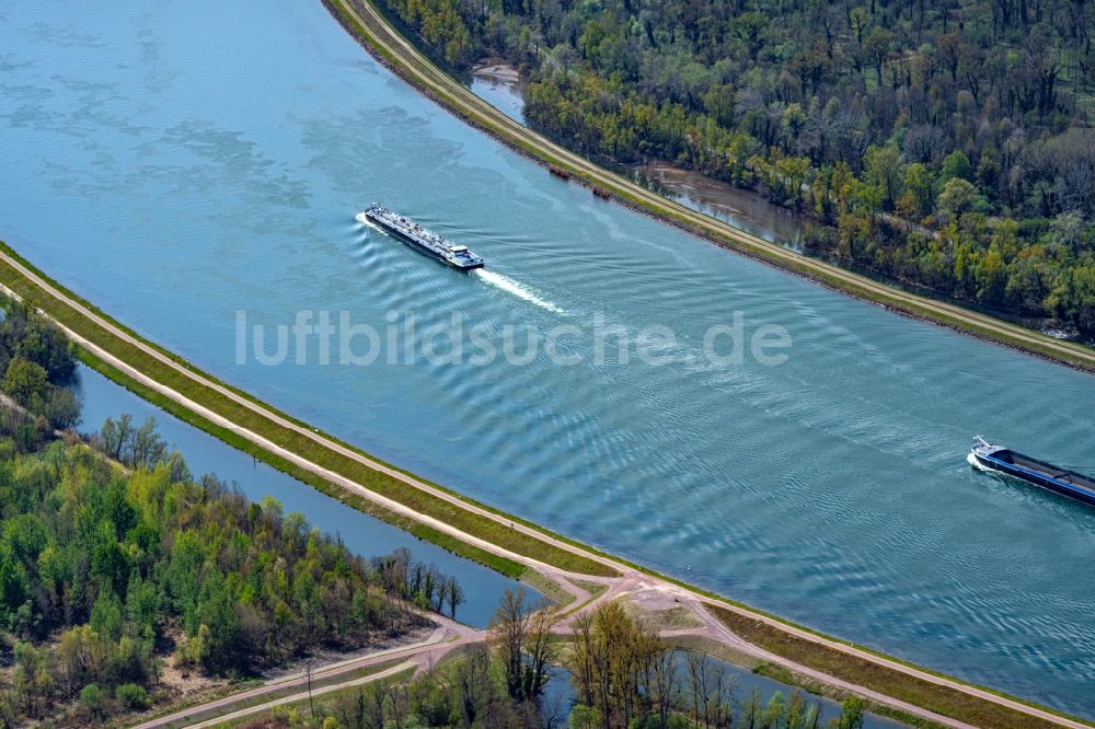 Luftbild Rhinau - Schiffe und Schleppverbände der Binnenschiffahrt in Fahrt auf der Wasserstraße des Flußverlaufes des Rhein in Rhinau in Elsass, Frankreich