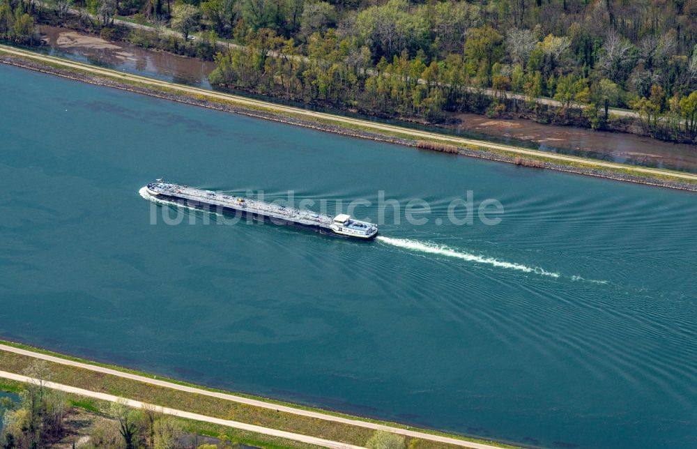Luftaufnahme Rhinau - Schiffe und Schleppverbände der Binnenschiffahrt in Fahrt auf der Wasserstraße des Flußverlaufes des Rhein in Rhinau in Elsass, Frankreich
