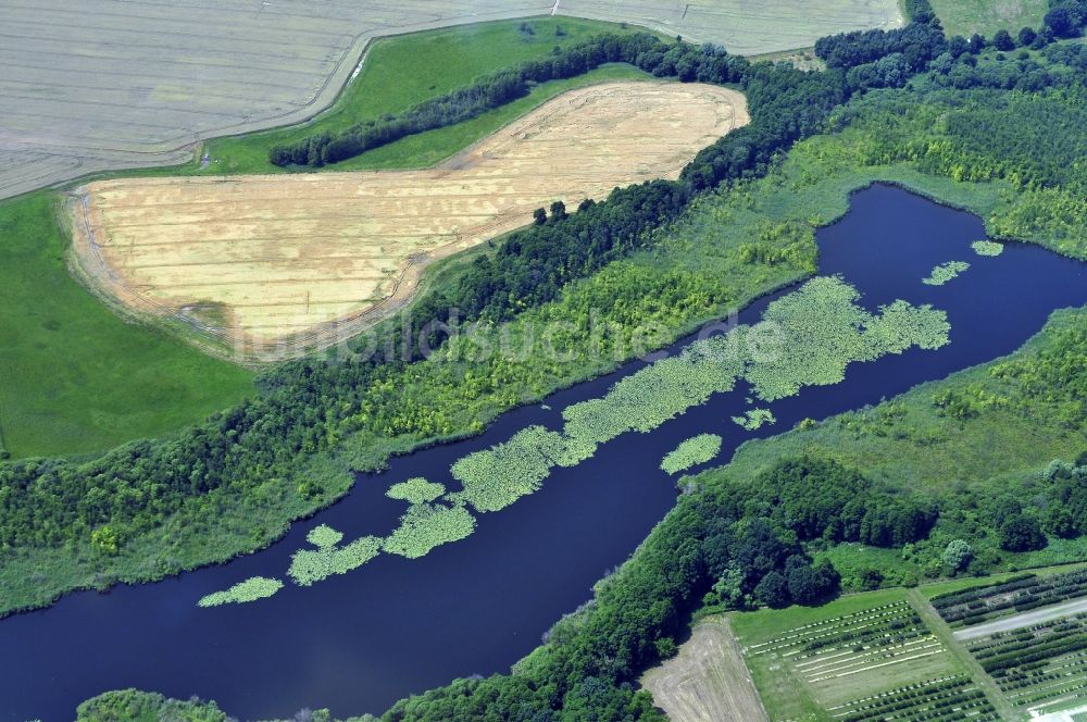 Potsdam aus der Vogelperspektive: Schlänitzsee mit Schilf und anliegenden Feldern im nördlichen Westen von Potsdam
