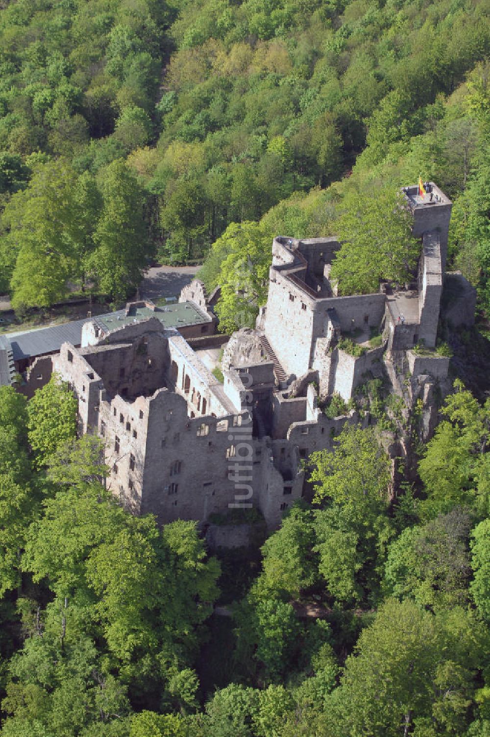 Luftaufnahme BADEN-BADEN - Schloss Hohenbaden bei Baden-Baden in Baden-Würtemberg