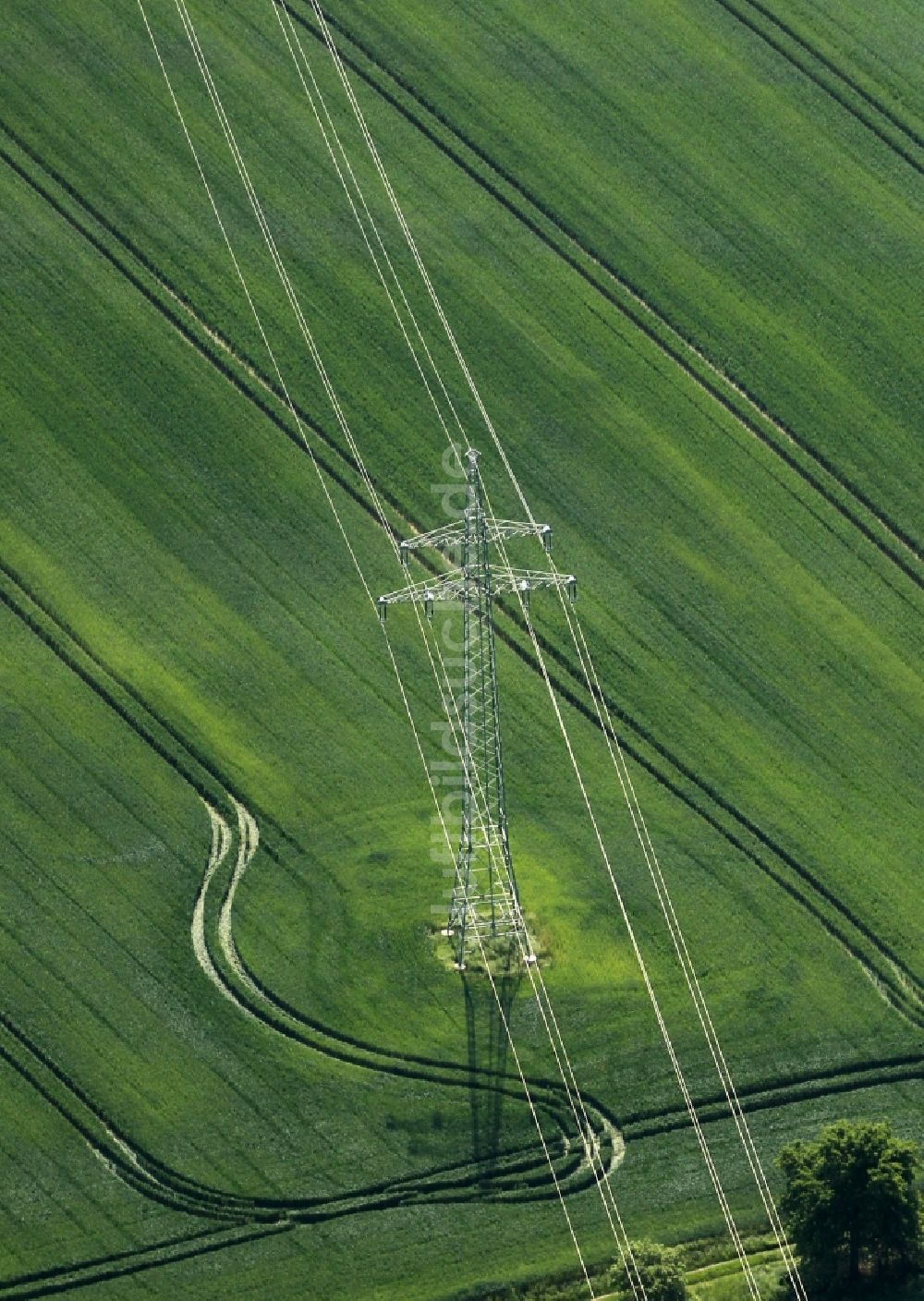 Luftaufnahme Ebeleben - Schneisen- und Streckenverlauf der Stromführungstrasse in Ebeleben im Bundesland Thüringen, Deutschland