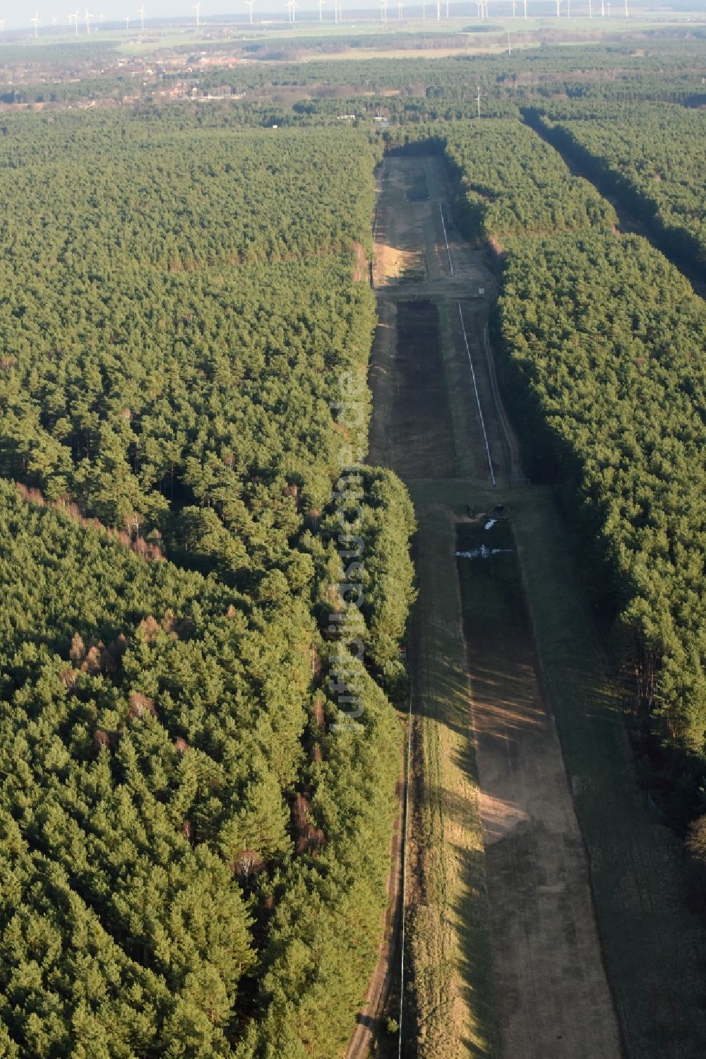 Luftaufnahme Briesen (Mark) - Schneisen- Streifen in einem Waldgebiet in Briesen (Mark) im Bundesland Brandenburg