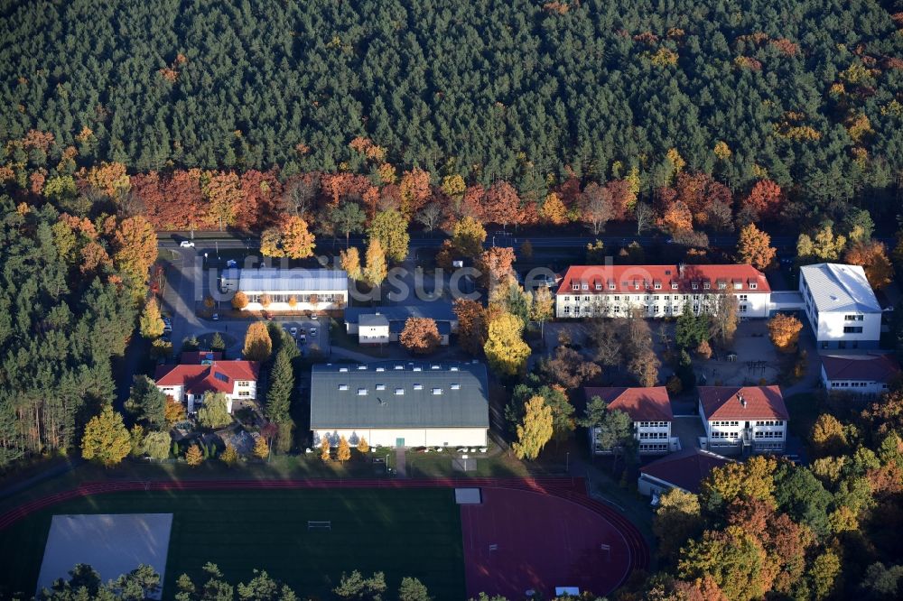 Luftaufnahme Grünheide (Mark) - Schulgebäude der Docemus Privatschulen und des Philipp-Melanchthon-Gymnasium in Grünheide (Mark) im Bundesland Brandenburg