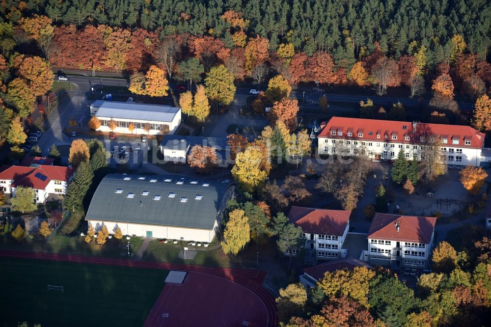 Grünheide (Mark) von oben - Schulgebäude der Docemus Privatschulen und des Philipp-Melanchthon-Gymnasium in Grünheide (Mark) im Bundesland Brandenburg
