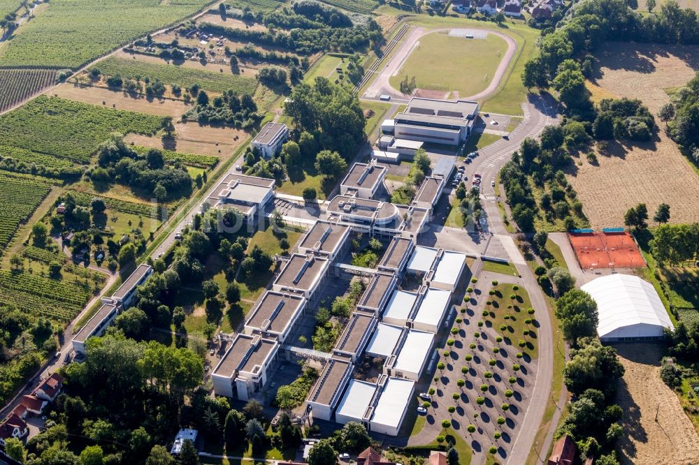 Luftbild Wissembourg - Schulgebäude des Gymnasium Lycée Stanislas in Wissembourg in Grand Est, Frankreich