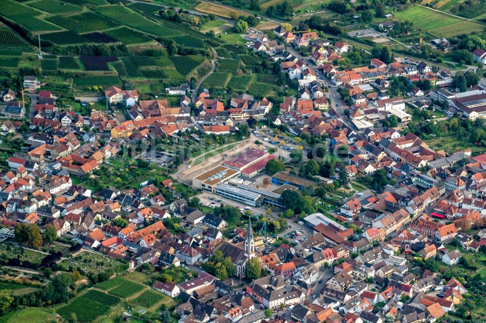 Luftbild Ihringen - Schulgebäude der Neunlinden-Schule mit Werkrealschule und die Kaiserstuhlhalle Ihringen in Ihringen im Bundesland Baden-Württemberg, Deutschland