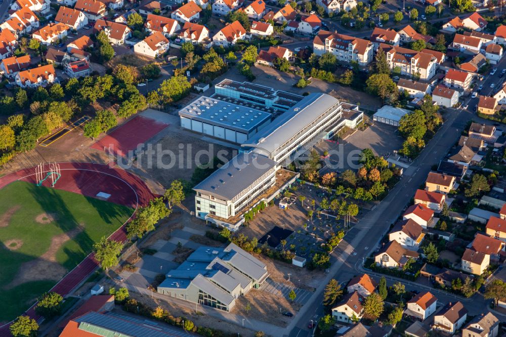Luftbild Haßloch - Schulgebäude der Siebenpfeiffer-Realschule plus und Fachoberschule in Haßloch im Bundesland Rheinland-Pfalz, Deutschland