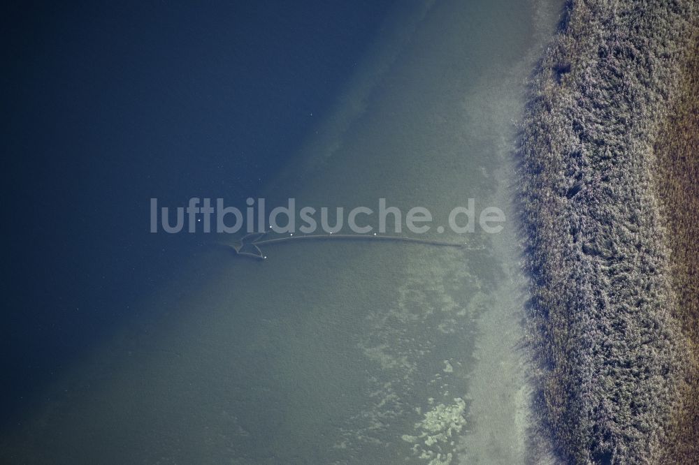Chiemsee aus der Vogelperspektive: See- Insel Fischereinetz im See in Chiemsee im Bundesland Bayern, Deutschland