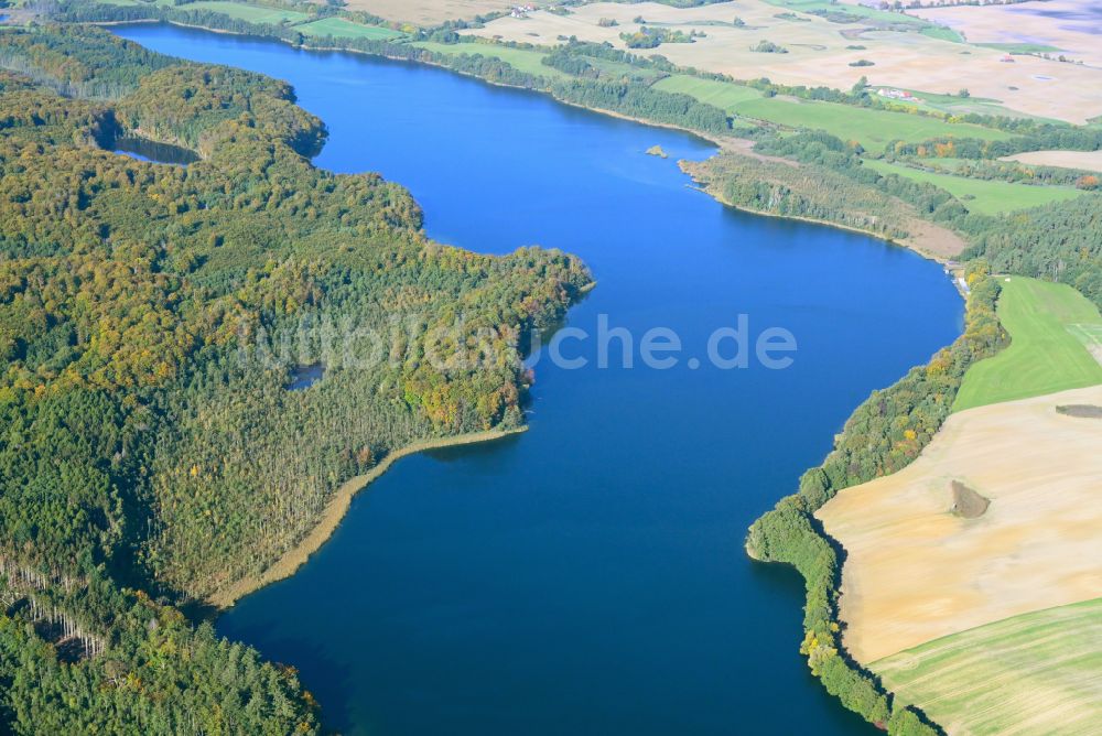 Luftaufnahme Boitzenburger Land - See- Insel Haussee in Boitzenburger Land im Bundesland Brandenburg, Deutschland