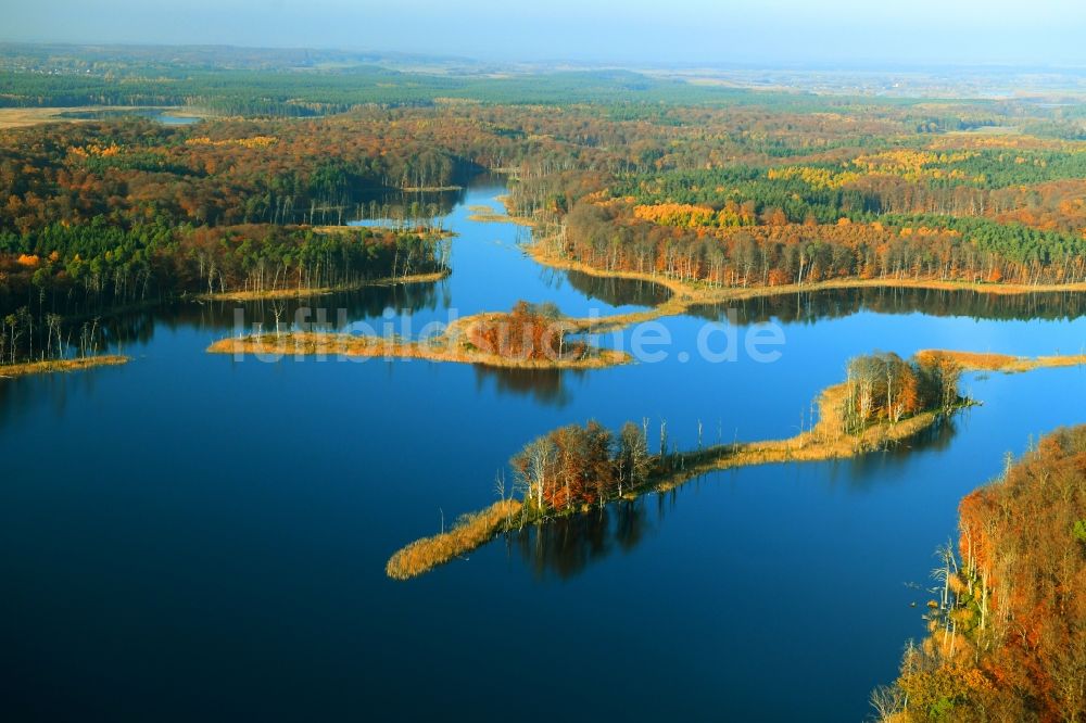 Hohenzieritz aus der Vogelperspektive: See- Insel auf dem Schweingartensee in Hohenzieritz im Bundesland Mecklenburg-Vorpommern, Deutschland
