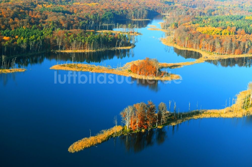 Luftbild Hohenzieritz - See- Insel auf dem Schweingartensee in Hohenzieritz im Bundesland Mecklenburg-Vorpommern, Deutschland