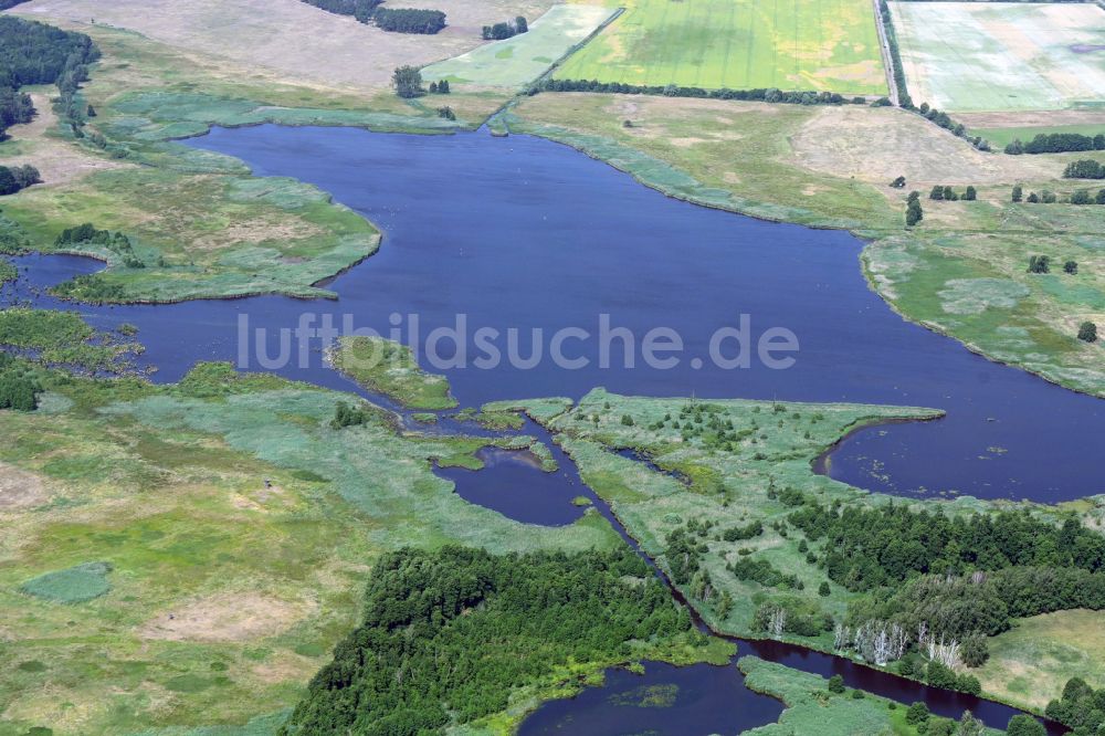 Rieben von oben - See- Insel Stangenhagener Polder in Rieben im Bundesland Brandenburg, Deutschland