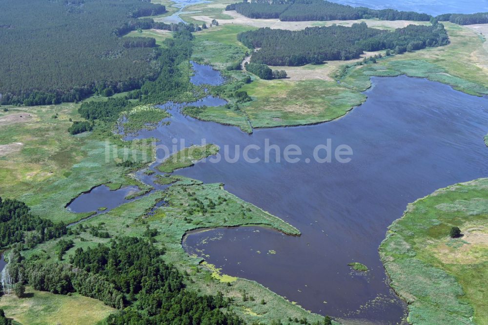 Rieben aus der Vogelperspektive: See- Insel Stangenhagener Polder in Rieben im Bundesland Brandenburg, Deutschland