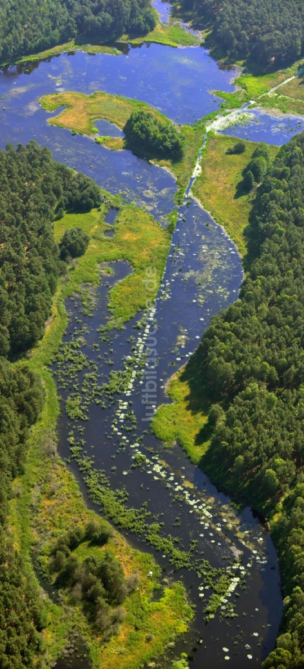Luftaufnahme Birkholz - See- Tümpel in einem Waldstück bei Birkholz im Bundesland Brandenburg