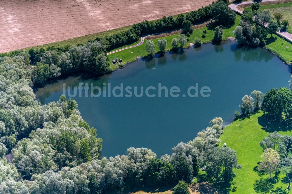Kenzingen von oben - See- Uferbereichen Badesee in Kenzingen im Bundesland Baden-Württemberg, Deutschland