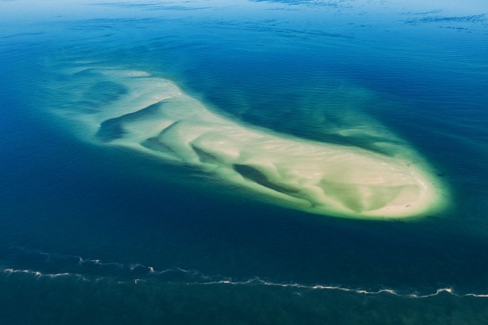Luftbild Sandbank vor Amrum Sylt - Seehunde,Kegelrobben auf einer Sandbank- Landfläche in der Meeres- Wasseroberfläche Nordsee vor der Insel Amrum im Bundesland Schleswig-Holstein