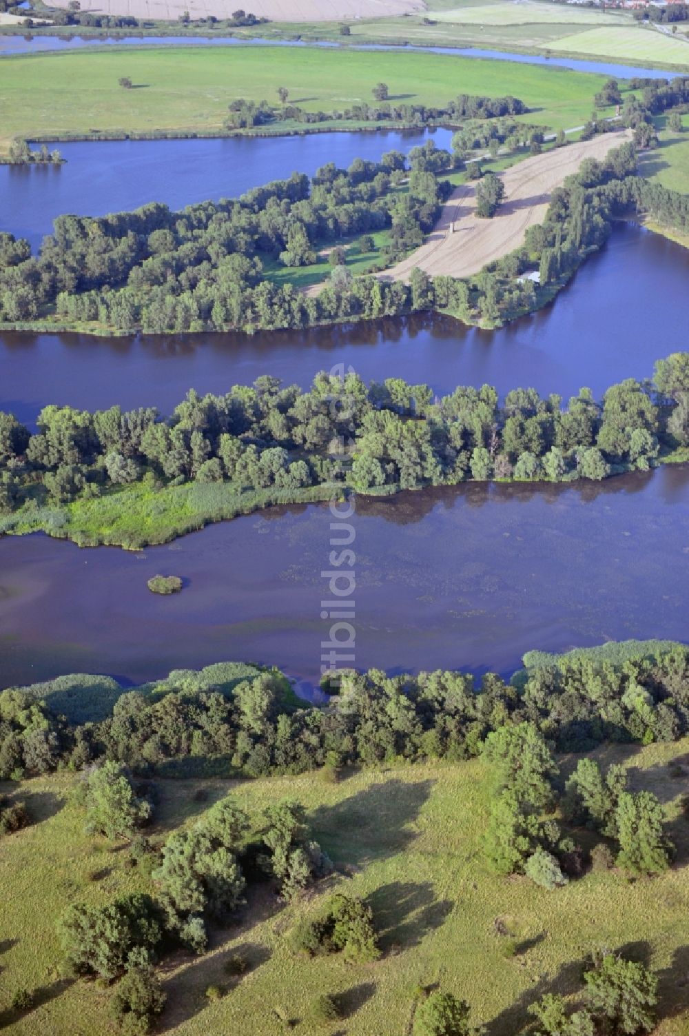 Luftaufnahme Lostau - Seelandschaft im Schutzgebiet Zuwachs- Külzauer Forst bei Lostau in Sachsen- Anhalt