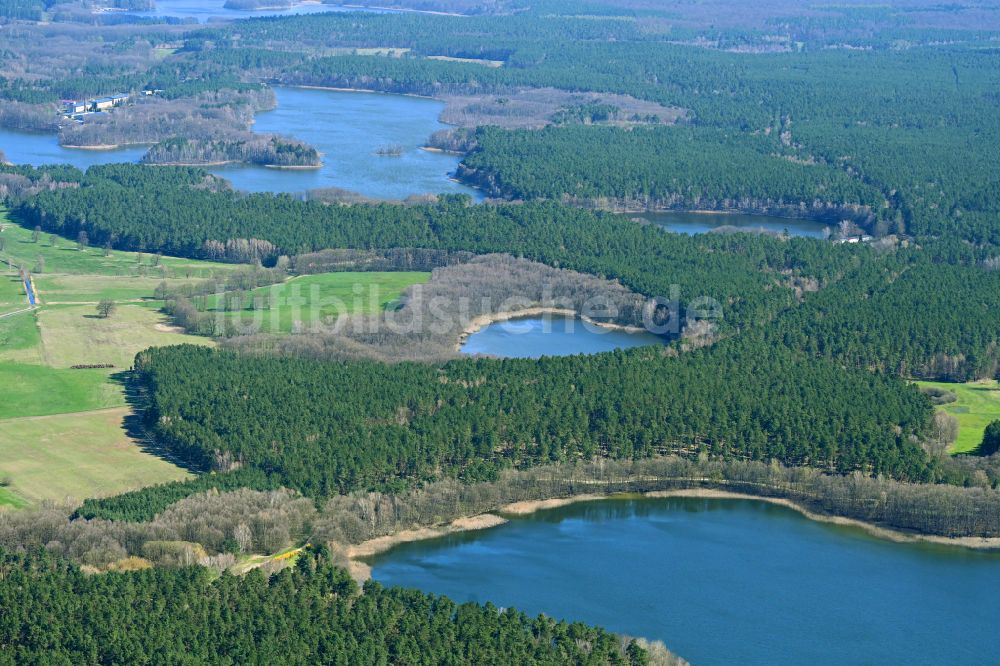 Dranse von oben - Seen- Kette und Uferbereiche des Sees Dranser See in Dranse im Bundesland Brandenburg, Deutschland
