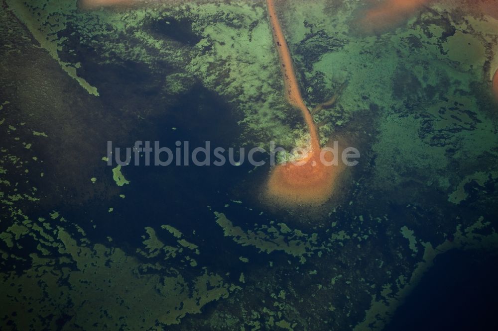 Luftaufnahme Steckborn - Seen- Kette und Uferbereiche des Sees Untersee am Bodensee in Steckborn im Kanton Thurgau, Schweiz