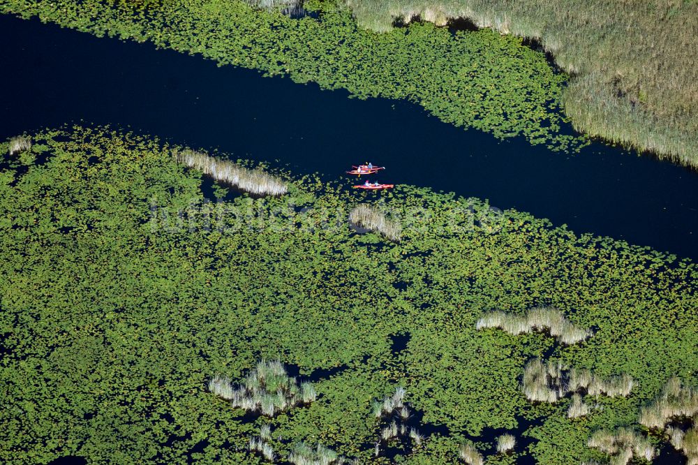 Luftbild Mirow - Seen- Kette und Uferbereiche des Sees mit Wassersportlern am Seengebiet Kleiner Kotzower See in Mirow im Bundesland Mecklenburg-Vorpommern, Deutschland