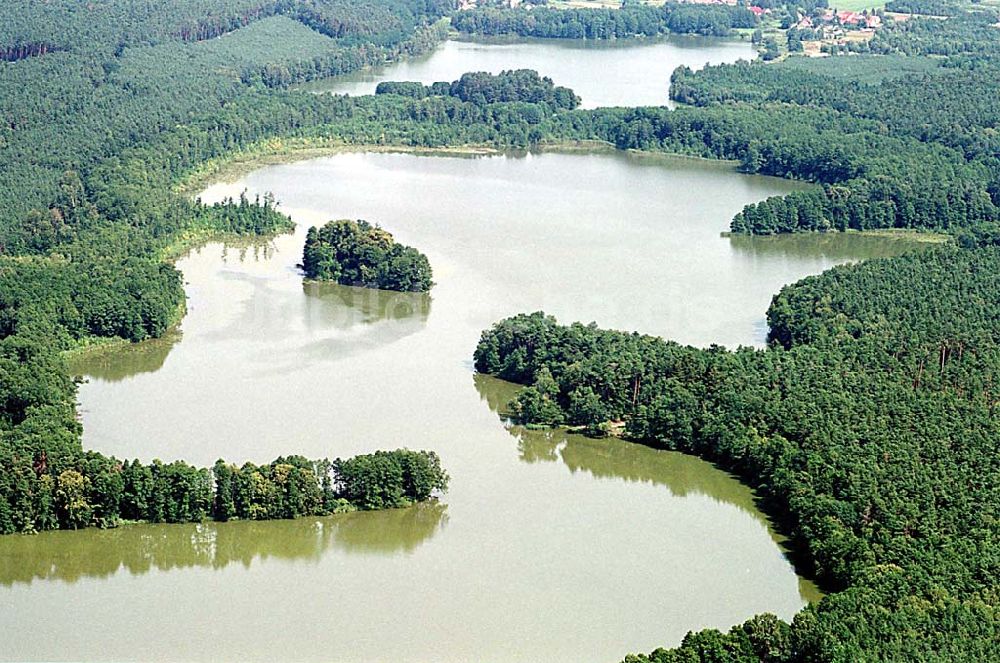 Luftaufnahme Kienbaum / Brandenburg - Seenlandschaft bei Kienbaum in Brandenburg. Ort: Kienbaum/ Brandenburg