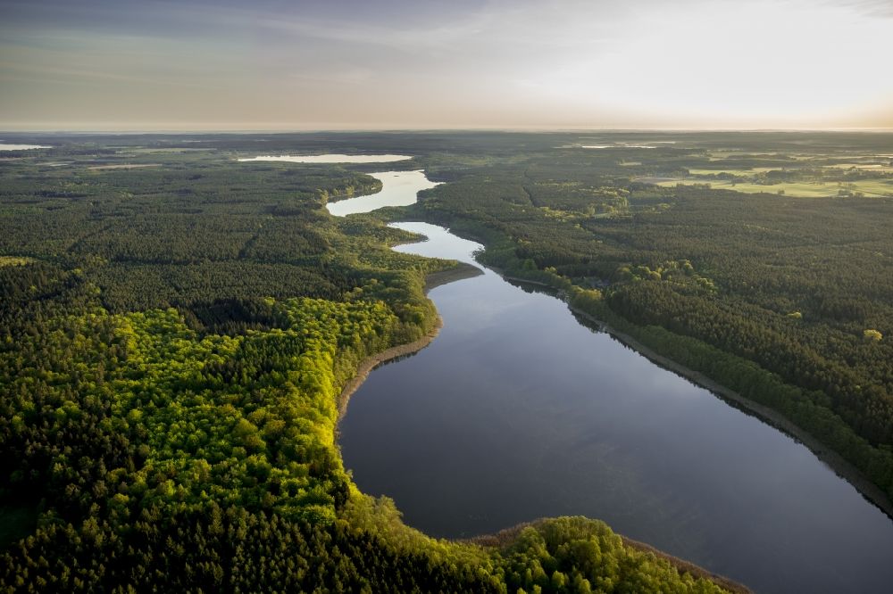 Rechlin aus der Vogelperspektive: Seenlandschaft in Rechlin im Bundesland Mecklenburg-Vorpommern