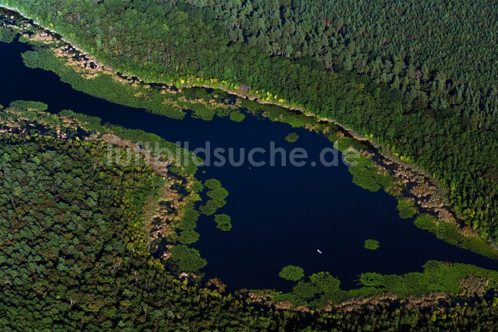 Luftaufnahme Roggentin - Seenlandschaft in Roggentin im Bundesland Mecklenburg-Vorpommern