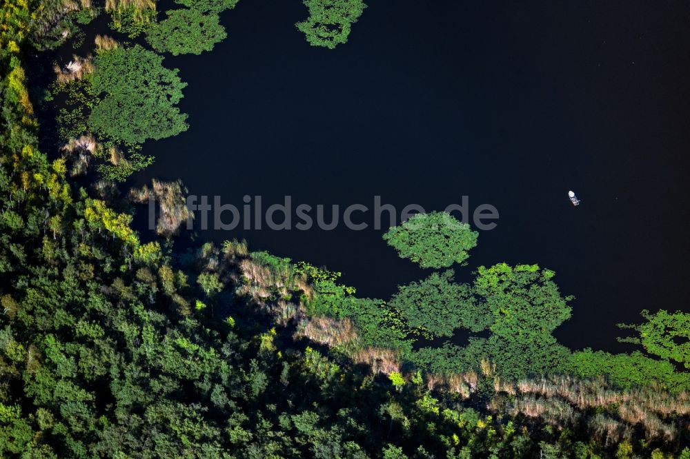 Roggentin von oben - Seenlandschaft in Roggentin im Bundesland Mecklenburg-Vorpommern