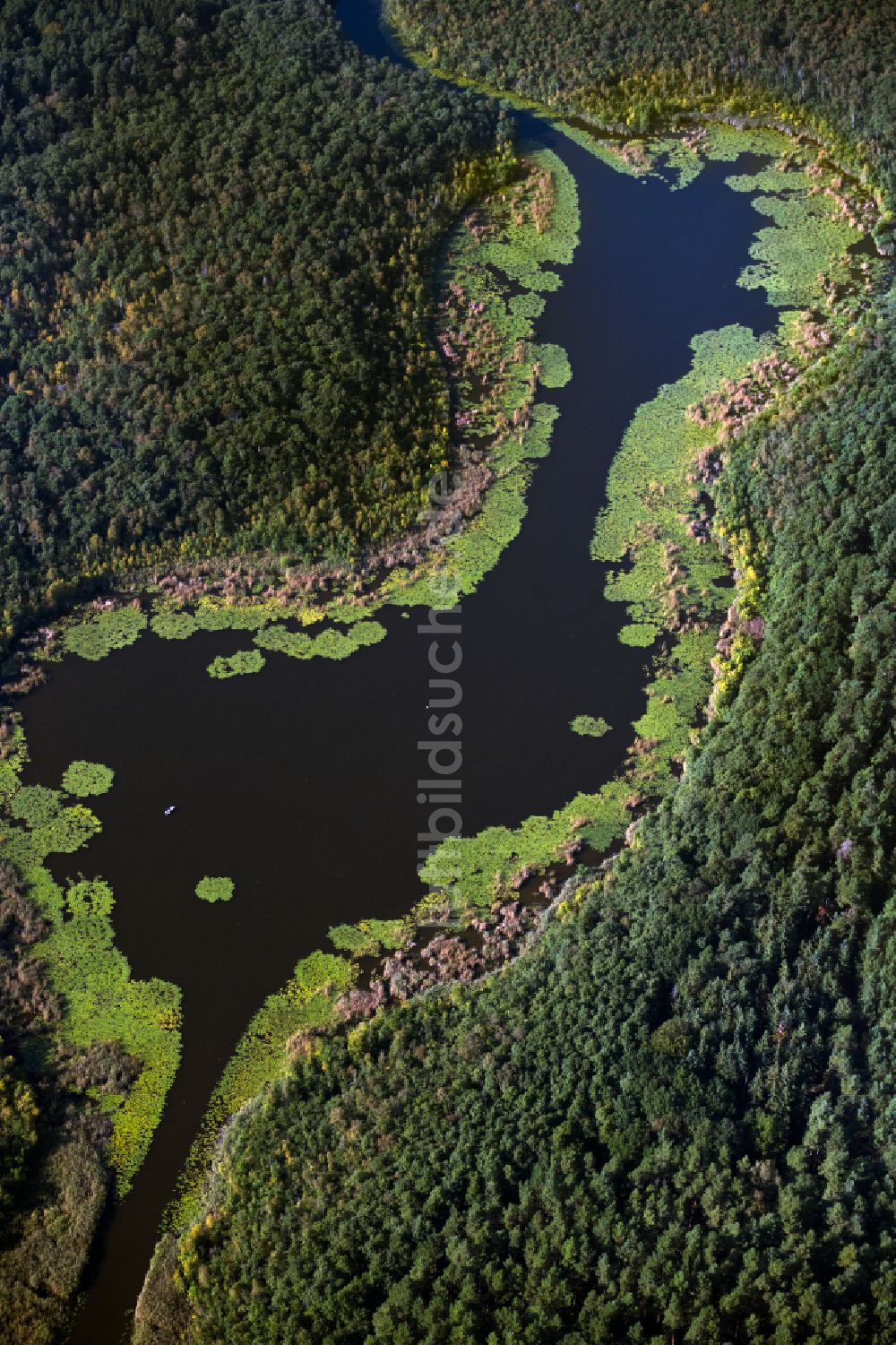 Luftaufnahme Roggentin - Seenlandschaft in Roggentin im Bundesland Mecklenburg-Vorpommern