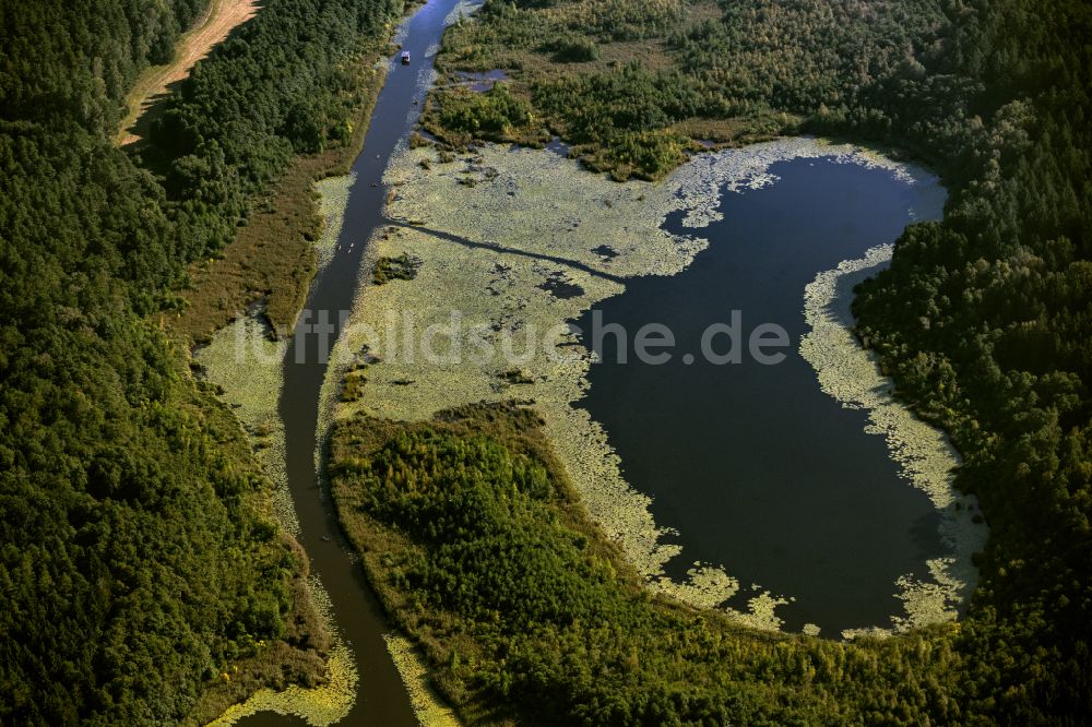 Luftbild Roggentin - Seenlandschaft in Roggentin im Bundesland Mecklenburg-Vorpommern