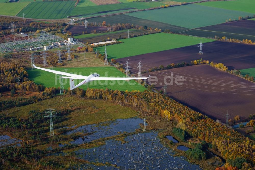 Luftaufnahme Deinste - Segelflugzeug LS-4 D-4103 im Fluge über dem Luftraum bei Dollern im Bundesland Niedersachsen, Deutschland