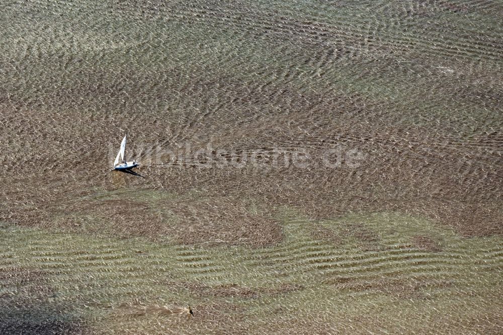 Luftbild Brake (Unterweser) - Segelschiff in Fahrt auf der Weser in Brake (Unterweser) im Bundesland Niedersachsen, Deutschland