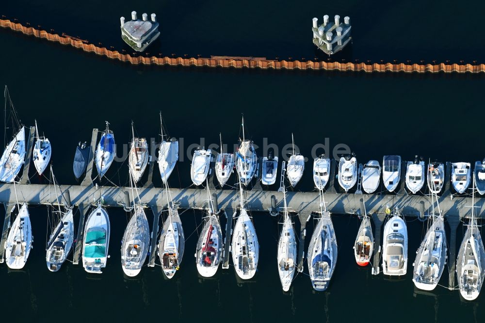 Luftbild Rostock - Segelschiffe im Yachthafen Hohe Düne in Warnemünde im Bundesland Mecklenburg-Vorpommern, Deutschland